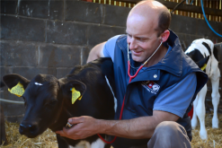 Animal Health