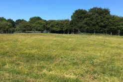 Grassland & Fencing