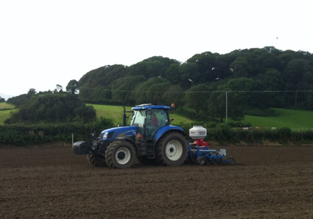 Grass seed sower