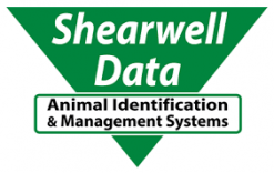 Shearwell Ear Tags